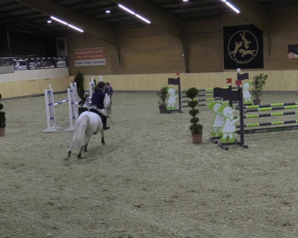 Reitturnier Paderborn 2021