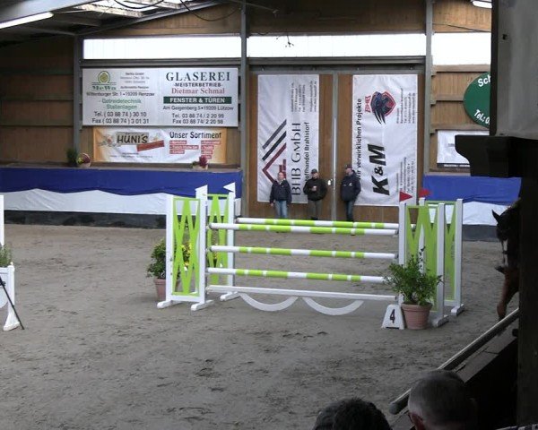 Reitturnier Gadebusch 2024