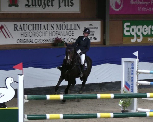 Reitturnier Gadebusch 2024