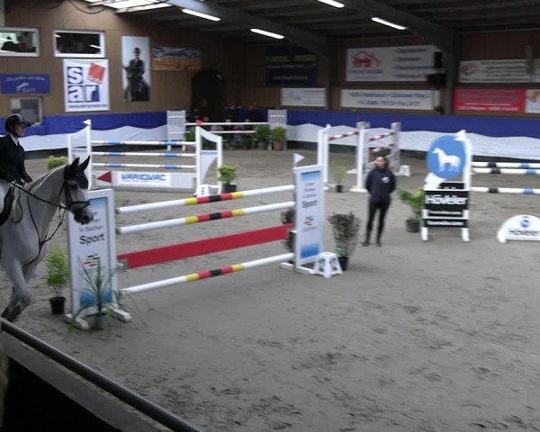 Reitturnier Gadebusch 2024