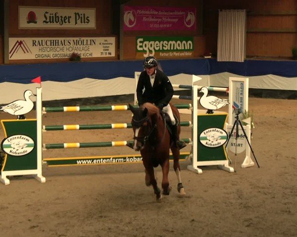 Reitturnier Gadebusch 2024