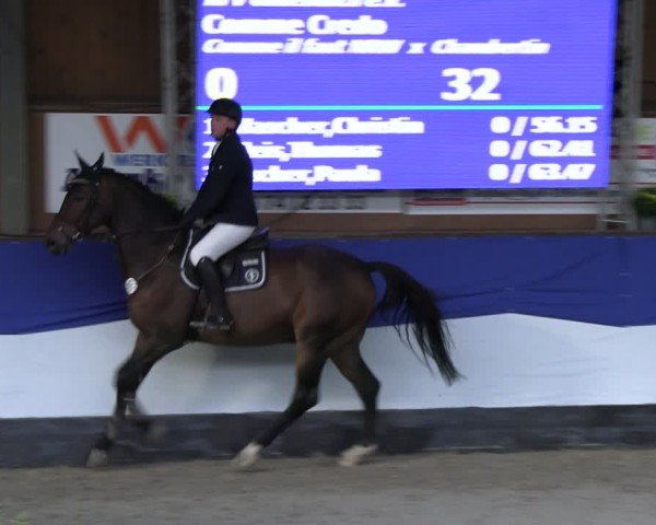 Reitturnier Gadebusch 2024