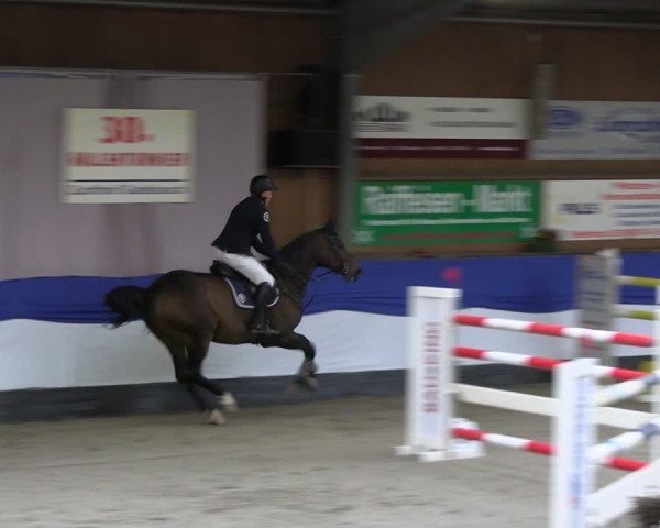 Reitturnier Gadebusch 2024