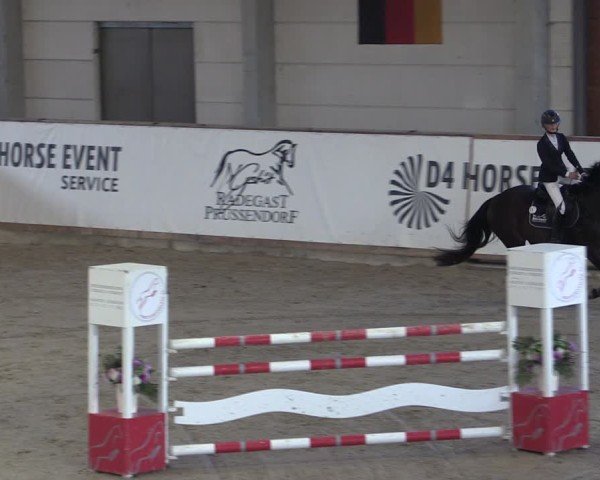 Reitturnier Prussendorf 2024
