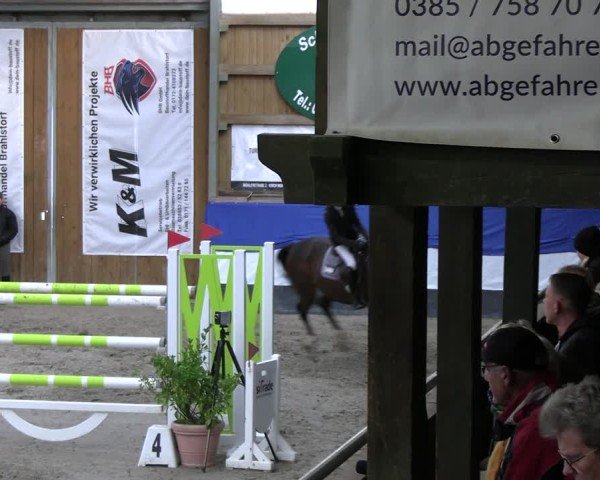 Reitturnier Gadebusch 2024