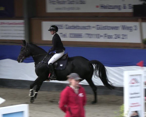 Reitturnier Gadebusch 2024
