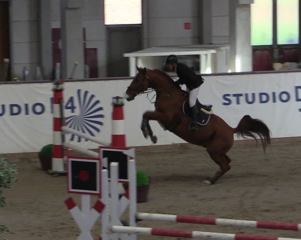 Reitturnier Prussendorf 2024