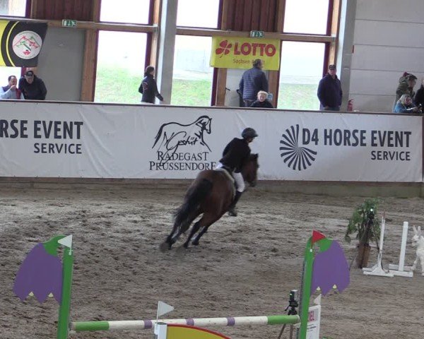 Reitturnier Prussendorf 2024