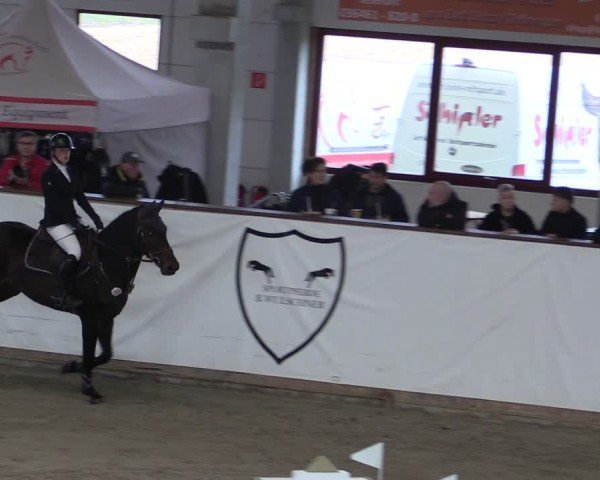Reitturnier Prussendorf 2024