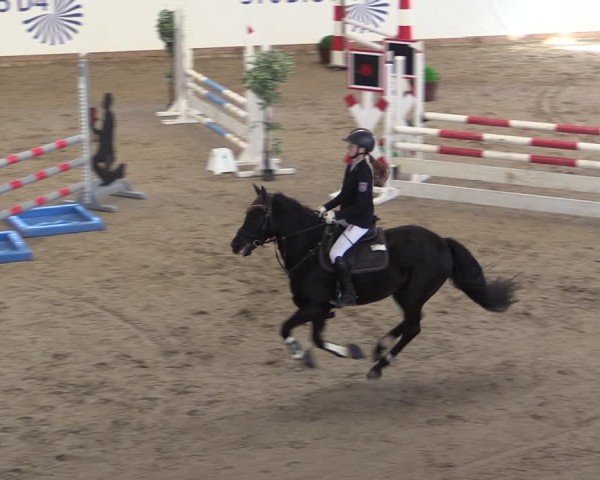 Reitturnier Prussendorf 2024
