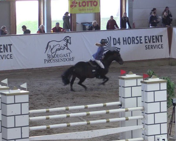 Reitturnier Prussendorf 2024