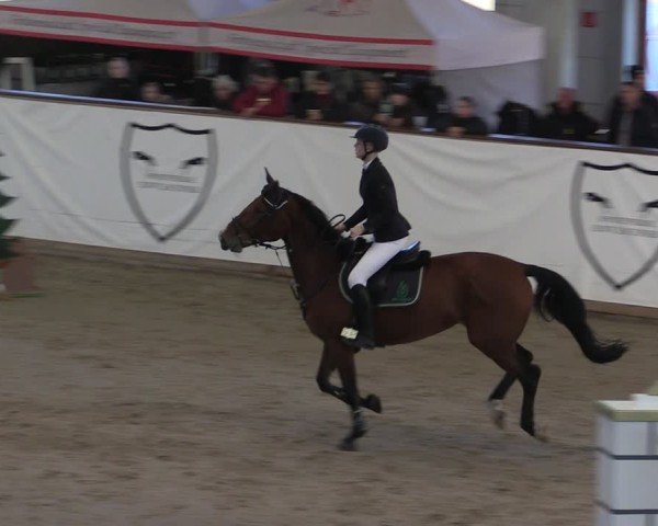 Reitturnier Prussendorf 2024