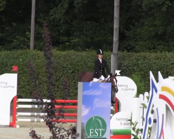 Vinnummer Reitertage 2013
