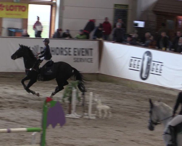 Reitturnier Prussendorf 2024