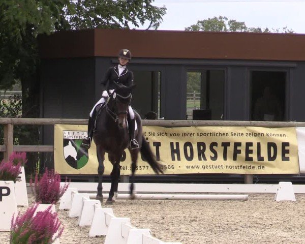 Reitturnier Ruhlsdorf 2024