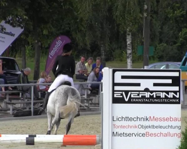 Vinnummer Reitertage 2013