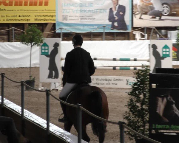 Reitturnier Böblingen 2024