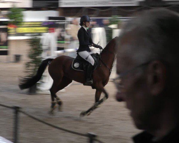 Reitturnier Böblingen 2024