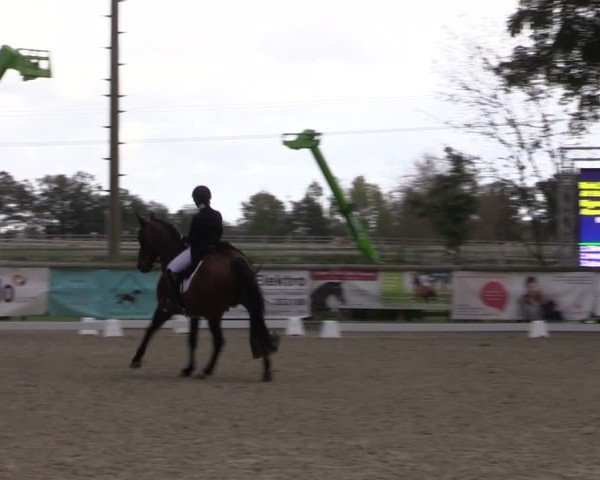 Reitturnier Ruhlsdorf 2024