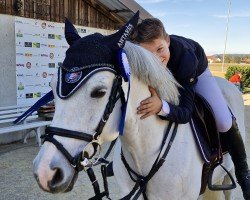 jumper Dragster du Menhir (French Pony, 2013, from Rexter D'Or)