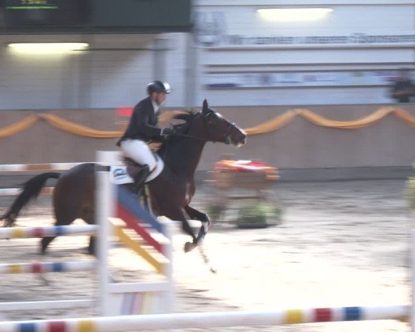 Reitturnier Salzkotten 2024