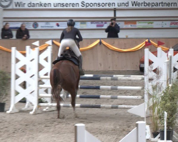 Reitturnier Salzkotten 2024