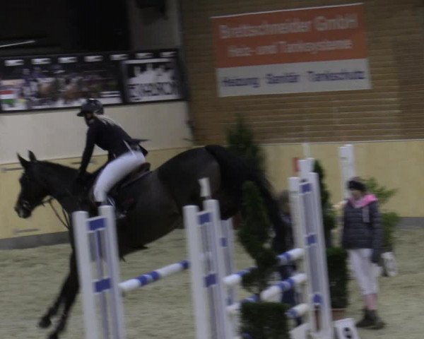 Reitturnier Paderborn 2021