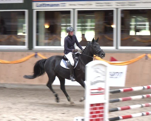 Reitturnier Salzkotten 2024