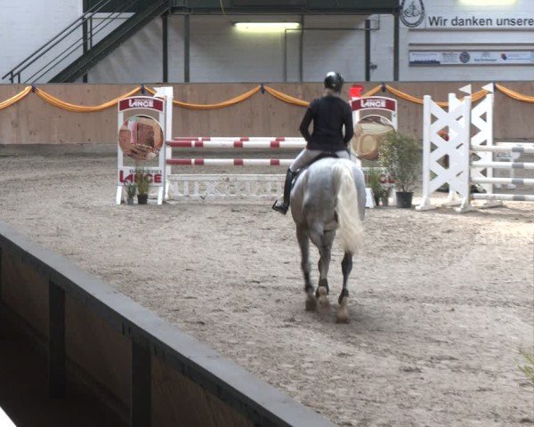Reitturnier Salzkotten 2024