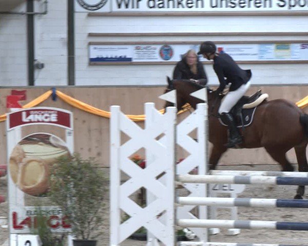 Reitturnier Salzkotten 2024