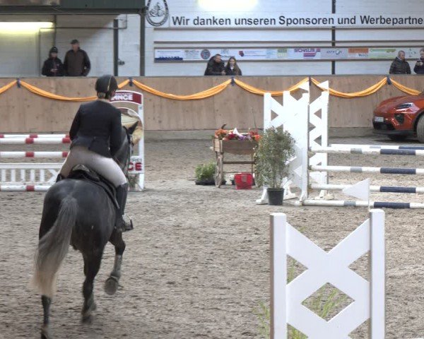 Reitturnier Salzkotten 2024