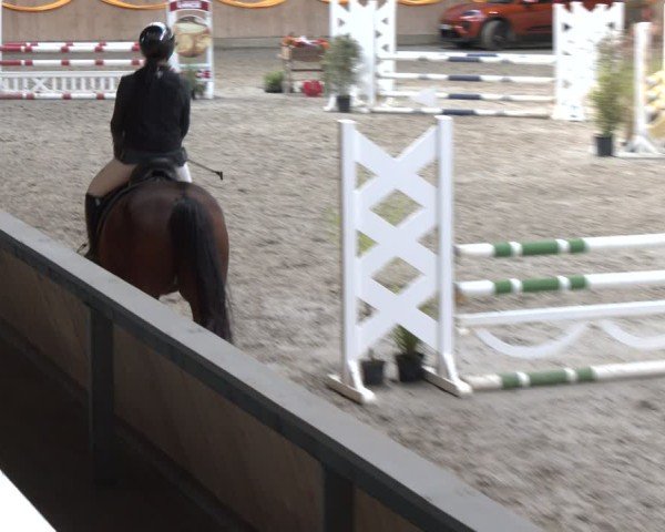 Reitturnier Salzkotten 2024