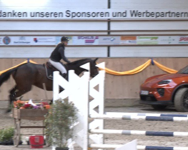 Reitturnier Salzkotten 2024