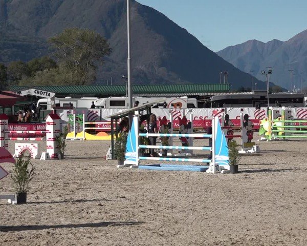 Reitturnier Giubiasco 2024