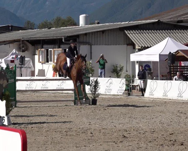 Reitturnier Giubiasco 2024