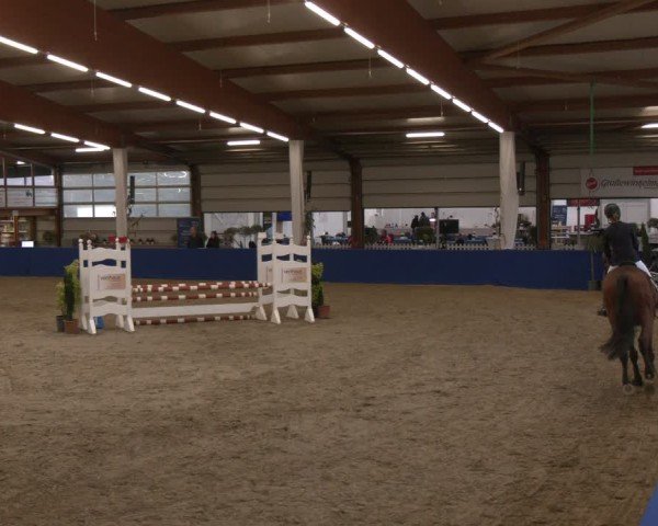 Reitturnier Isterberg 2024