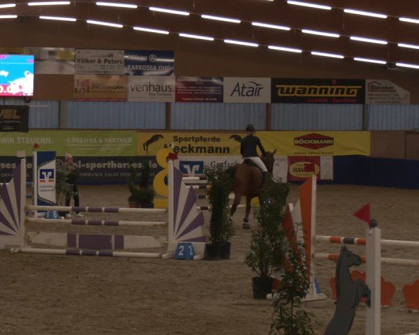 Reitturnier Isterberg 2024
