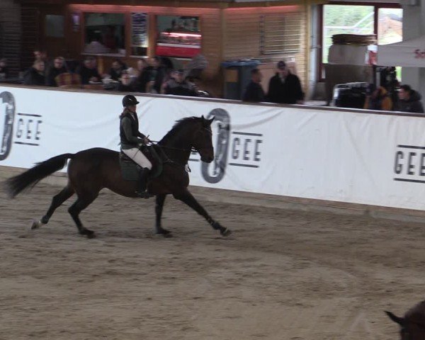Reitturnier Prussendorf 2024