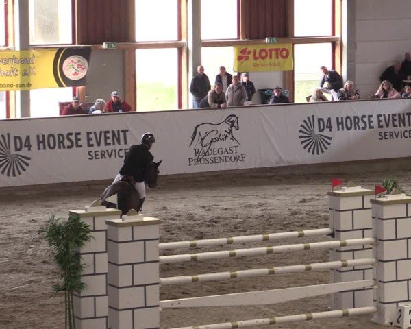 Reitturnier Prussendorf 2024