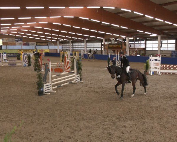 Reitturnier Isterberg 2024