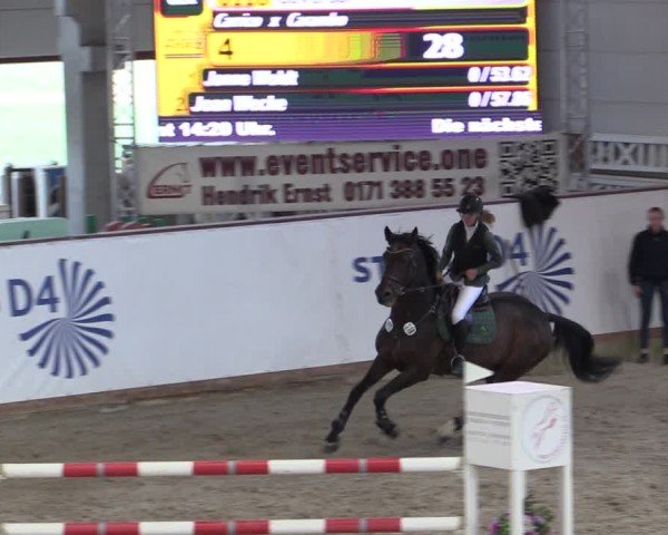Reitturnier Prussendorf 2024