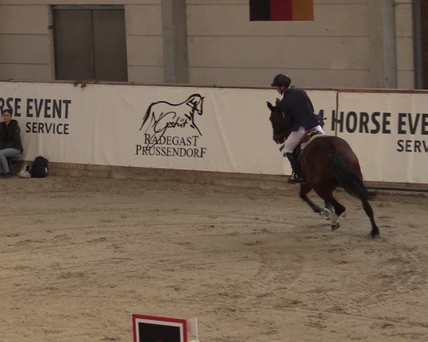 Reitturnier Prussendorf 2024
