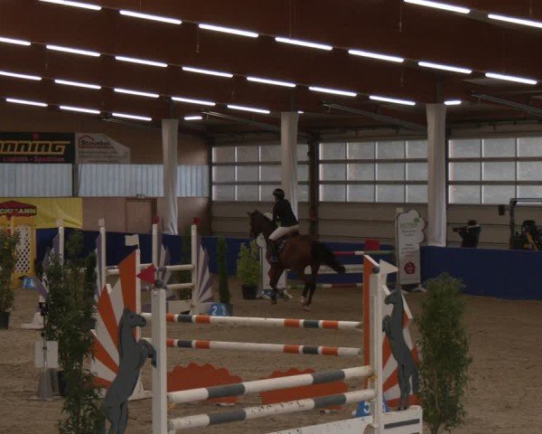 Reitturnier Isterberg 2024