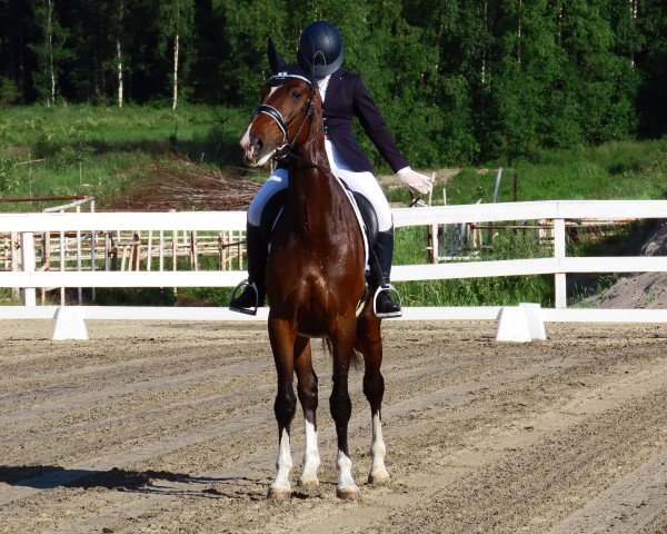 horse Chanel (Lithuanians Warmblood, 2018, from Comilo)