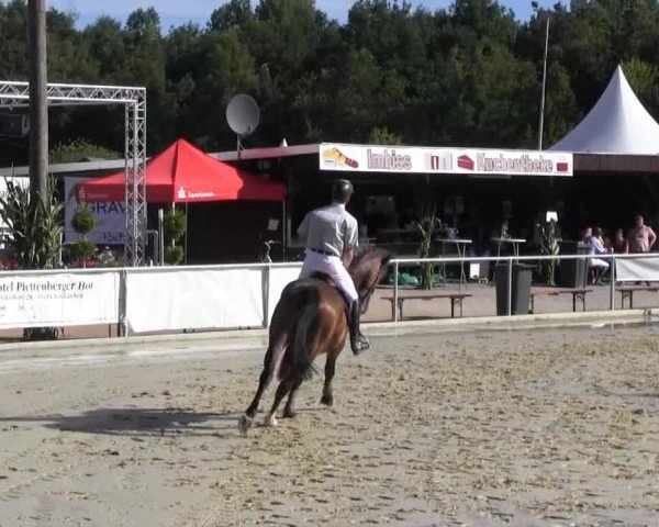 Vinnummer Reitertage 2013
