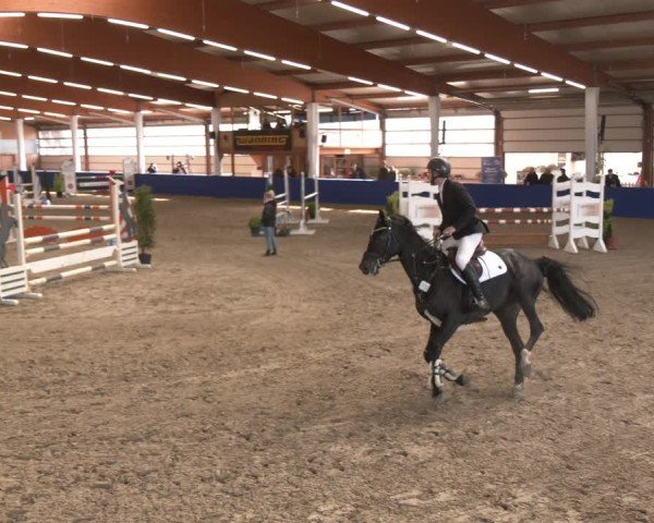 Reitturnier Isterberg 2024