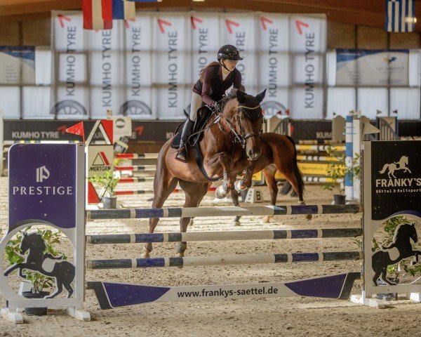 broodmare Calidora 3 (Oldenburg show jumper, 2016, from Tannenhof's Chambretto Gt)