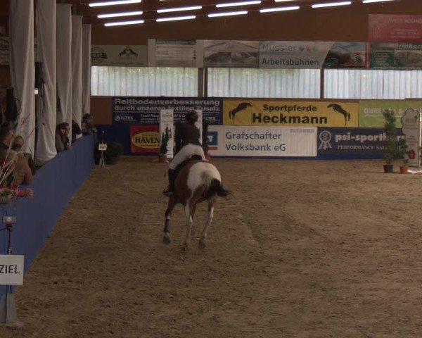 Reitturnier Isterberg 2024