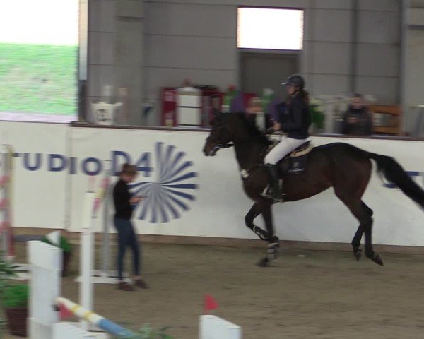 Reitturnier Prussendorf 2024