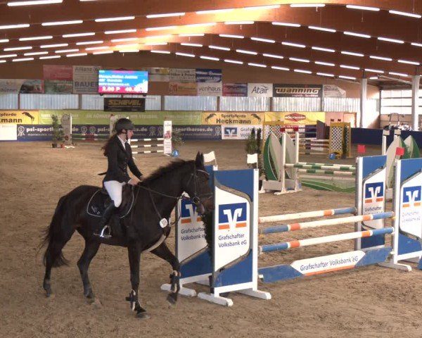 Reitturnier Isterberg 2024